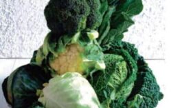 Time to get into brassicas-healthy eating